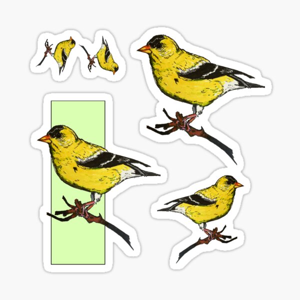 North American Birds Stickers US Bird Stickers American Nature