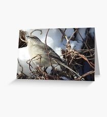 Mockingbird in the Snow Greeting Card