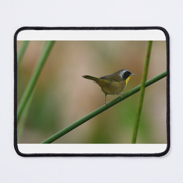Item preview, Common Yellowthroat designed and sold by CloserToTheArt.