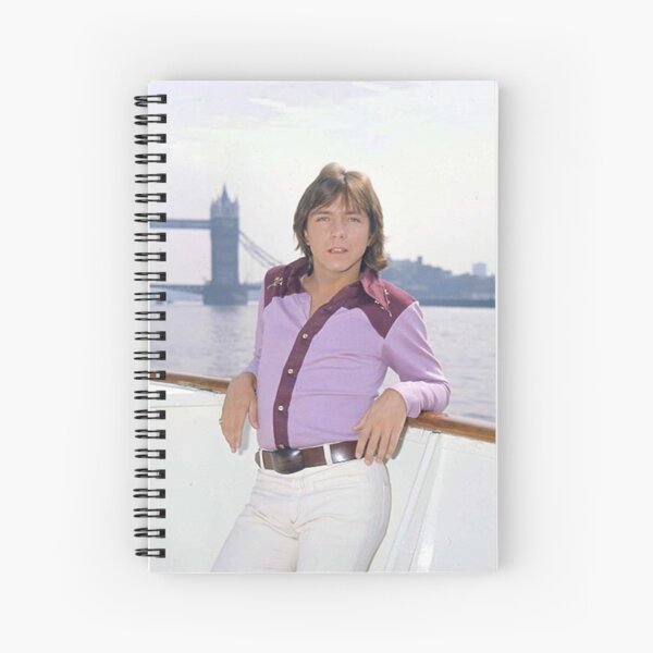 Aperçu de l'œuvre david cassidy ancien créée et vendue par warshipologiste.