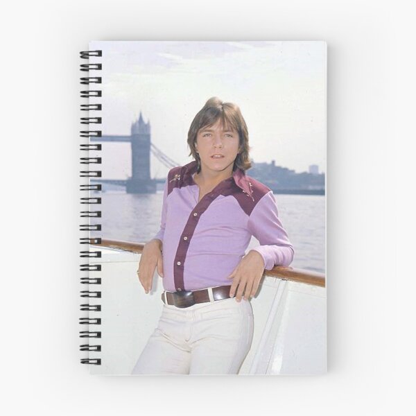 Item preview, david cassidy vintage designed and sold by warshipologiste.