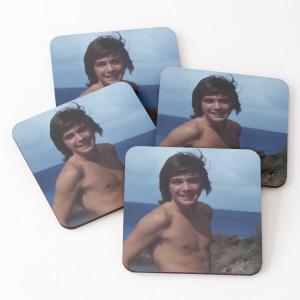 Item preview, david cassidy summer designed and sold by warshipologiste.