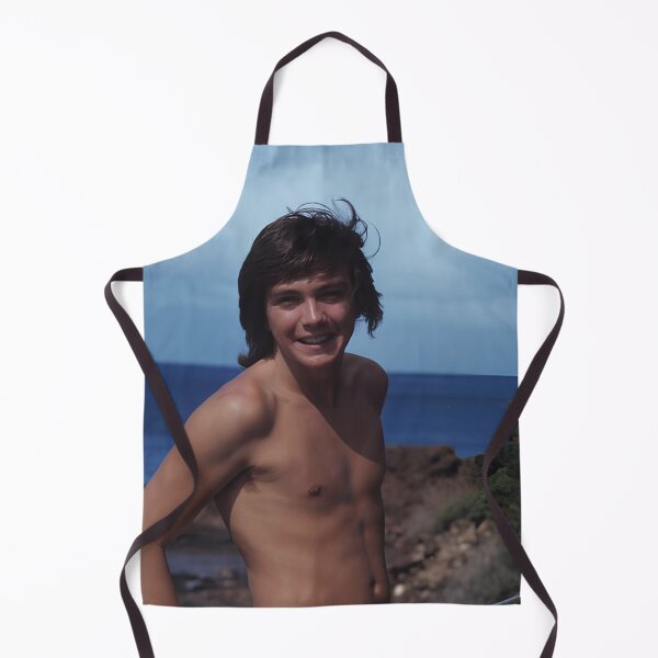 Artikelvorschau, David Cassidy Sommer entworfen und verkauft von warshipologiste.