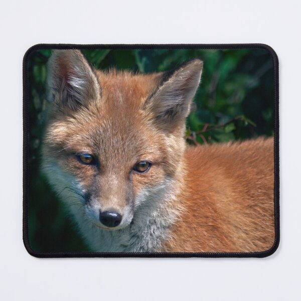 Item preview, Luna Portait (Red Fox) designed and sold by Krys Bailey.