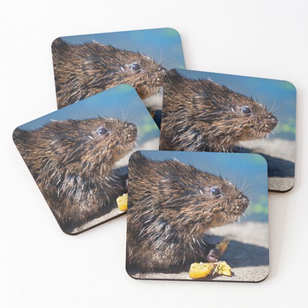 Item preview, Ratty designed and sold by Krys Bailey.