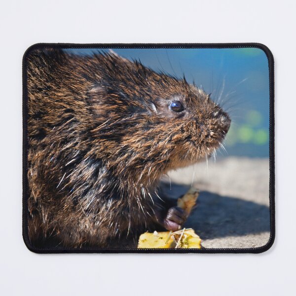 Item preview, Ratty designed and sold by Krys Bailey.