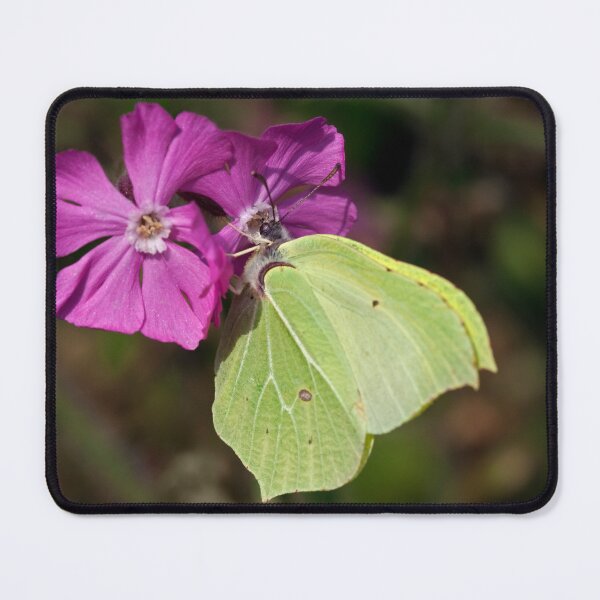 Item preview, Brimstone designed and sold by Krys Bailey.