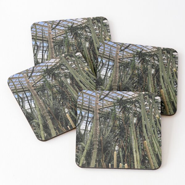 Item preview, Cactus  designed and sold by taya-stdnk.