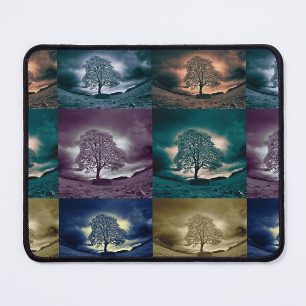 Item preview, Sycamore Gap Tree - Multicolor  designed and sold by CosmicStory.