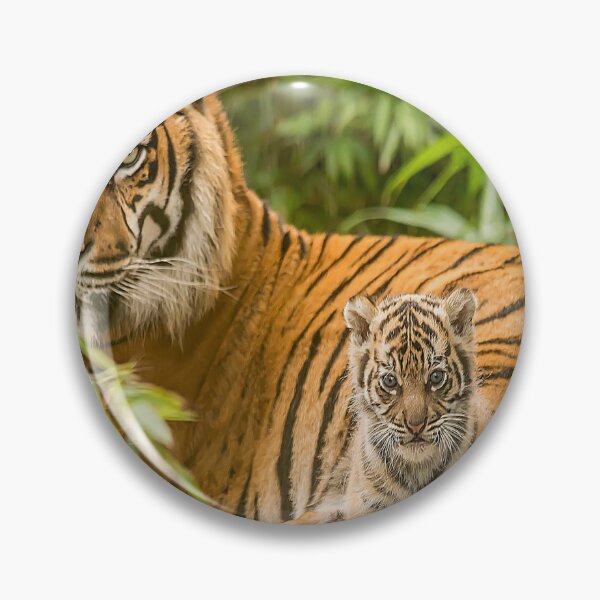 Item preview, Sumatran Tiger And Cub  designed and sold by Darren Wilkes.