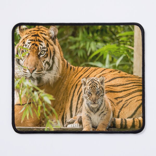 Item preview, Sumatran Tiger And Cub  designed and sold by Darren Wilkes.