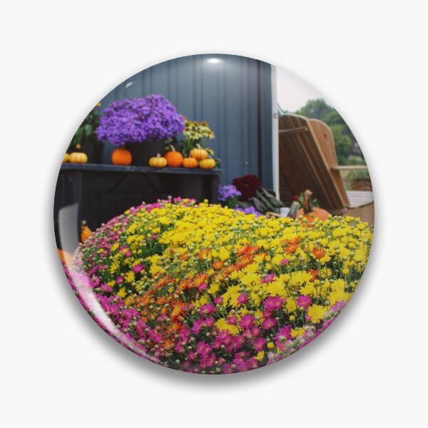 Item preview, Colorful mums designed and sold by MoWanderlust.