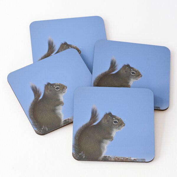 Item preview, A red squirrel at the feeder designed and sold by Claude Laprise.