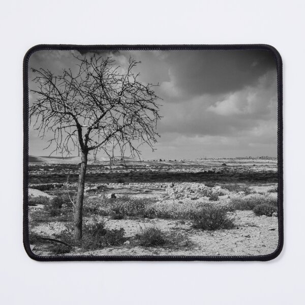 Item preview, Naked Tree in the middle of Negev Desert, Israel, in b&w designed and sold by Alexander Peterson.
