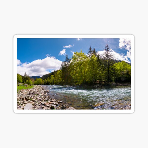 forest river in mountains Sticker