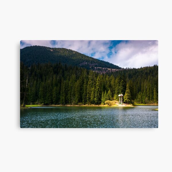 lake in Synevyr national park in springtime Canvas Print