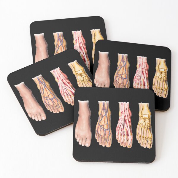 Item preview, Foot Anatomy Chart designed and sold by Hoorahville.