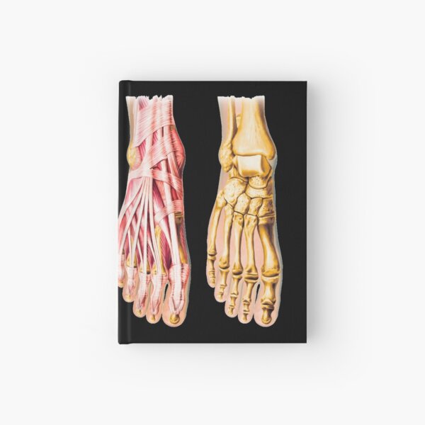 Chest Anatomy - Human Body Hardcover Journal for Sale by Hoorahville