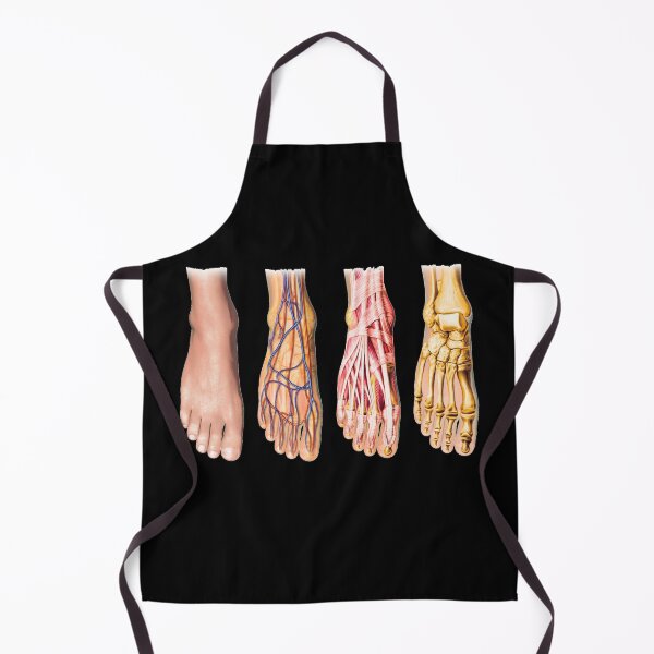 Item preview, Foot Anatomy Chart designed and sold by Hoorahville.