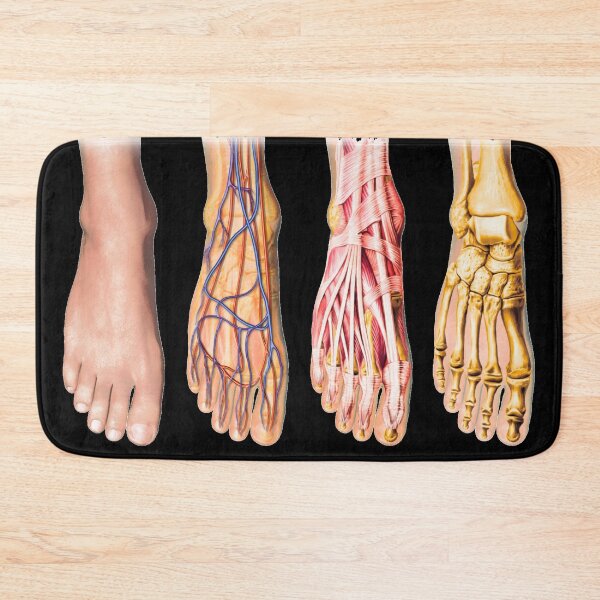 Item preview, Foot Anatomy Chart designed and sold by Hoorahville.