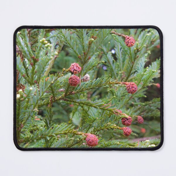 Item preview, green designed and sold by Tereza Pilar Art.