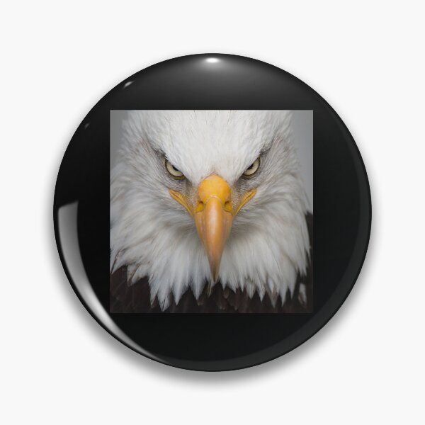 Item preview, eagle  designed and sold by Arulsanthosh.