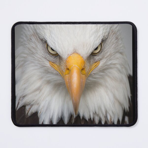 Item preview, eagle  designed and sold by Arulsanthosh.