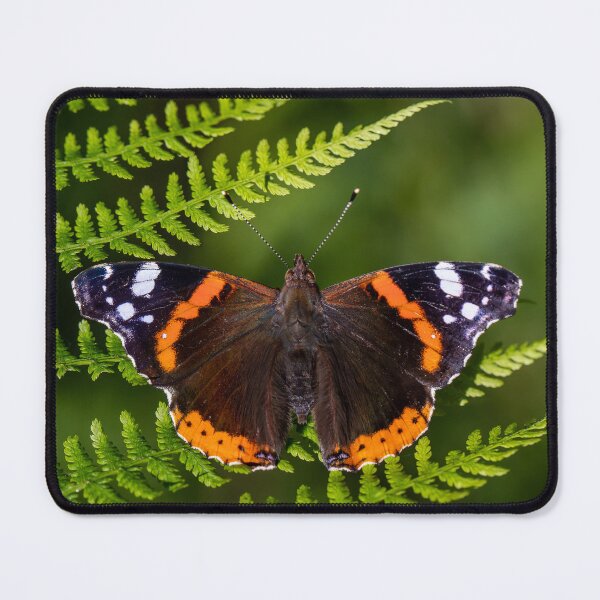 Item preview, Red Admiral designed and sold by Eyes on Butterflies.