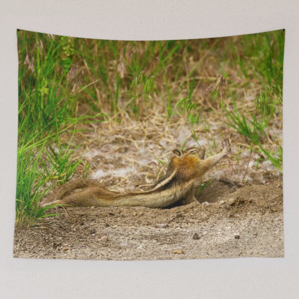 Item preview, Chipmunk Yoga | Dinosaur National Monument designed and sold by TinyDinoDesigns.