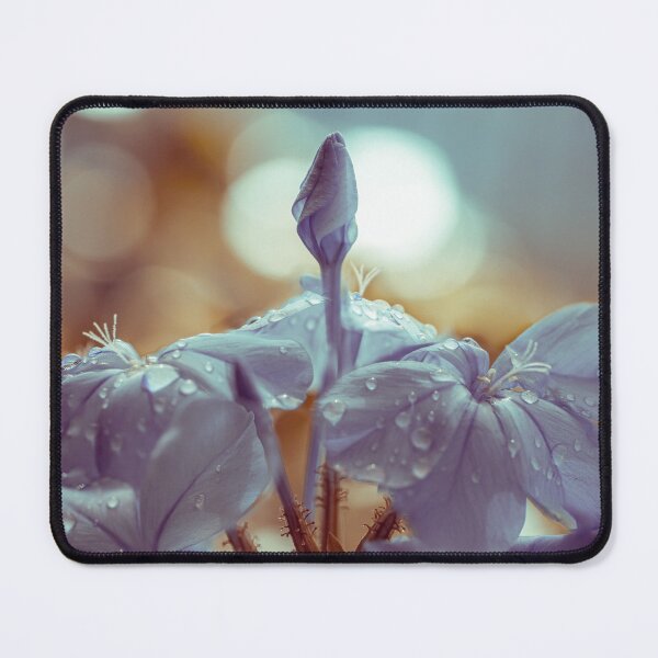 Item preview, plumbago designed and sold by barbara pellegrini.