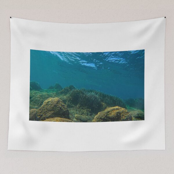 Item preview, under the sea,underwater,under the sea, where the ocean meet the land designed and sold by kathleenjean.