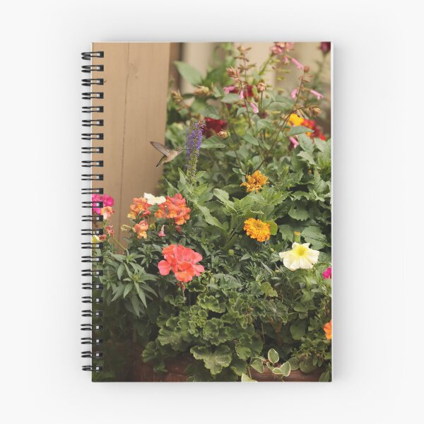 Item preview, Humming bird Flower Pot designed and sold by picturedlcphoto.