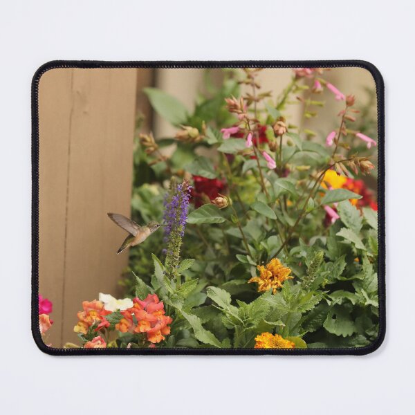 Item preview, Humming bird Flower Pot designed and sold by picturedlcphoto.