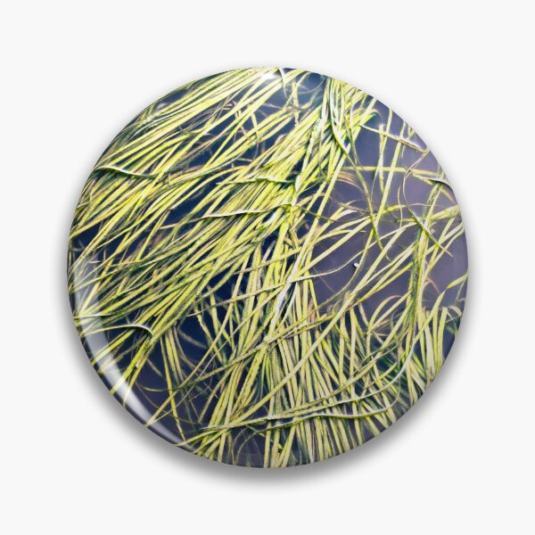 Item preview, Seaweed designed and sold by barkeypf.