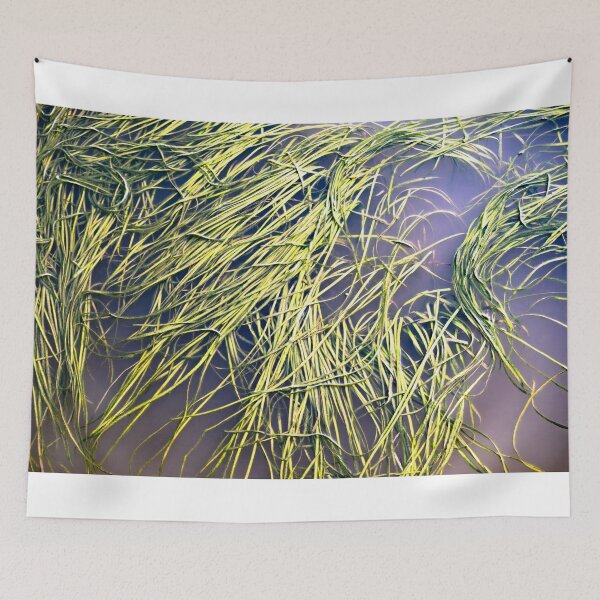 Item preview, Seaweed designed and sold by barkeypf.