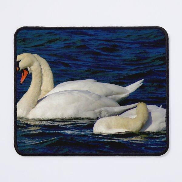 Item preview, Swans designed and sold by Ribster13.