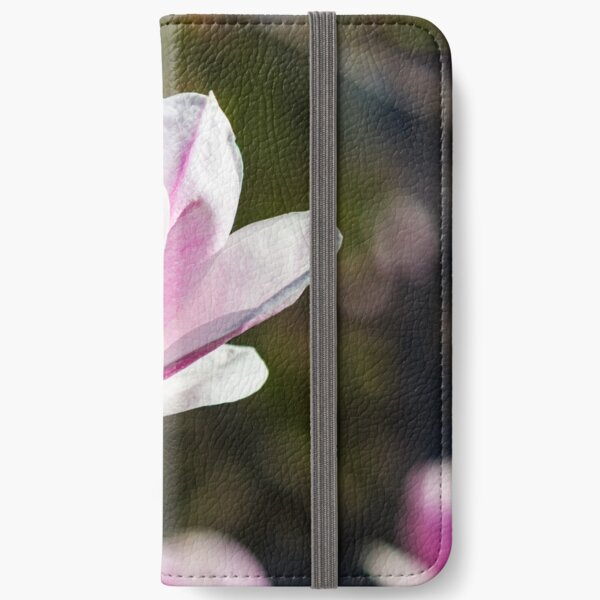blossom of magnolia tree in springtime iPhone Wallet