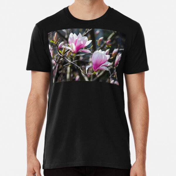blossom of magnolia tree in springtime Premium T-Shirt