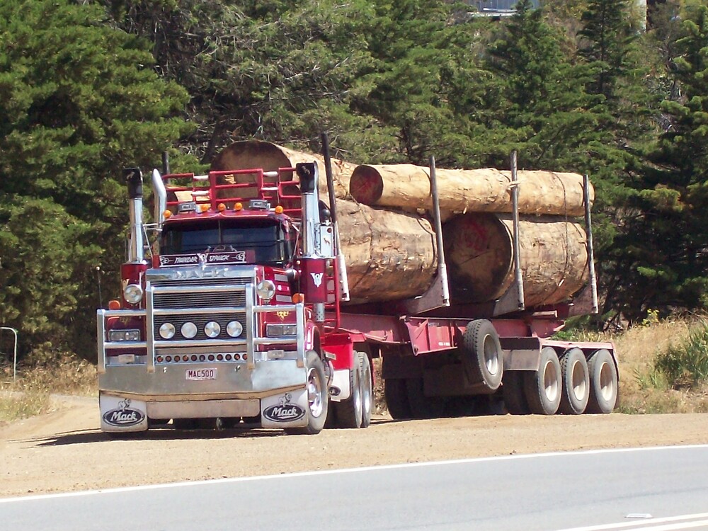 \u0026quot;Log Truck\u0026quot; by Didee  Redbubble