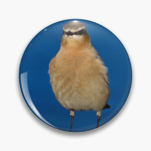 Item preview, Cute birds  designed and sold by Ribster13.
