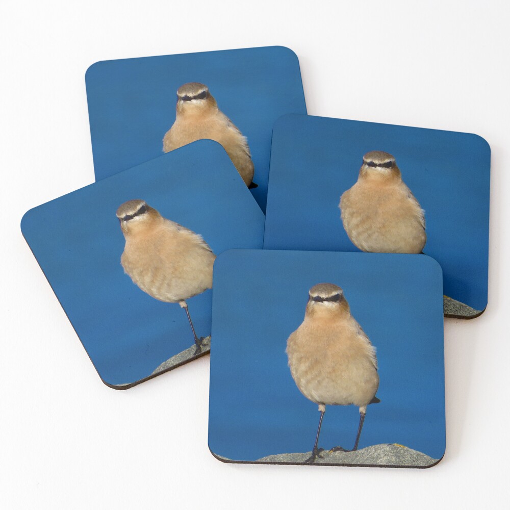 Item preview, Coasters (Set of 4) designed and sold by Ribster13.