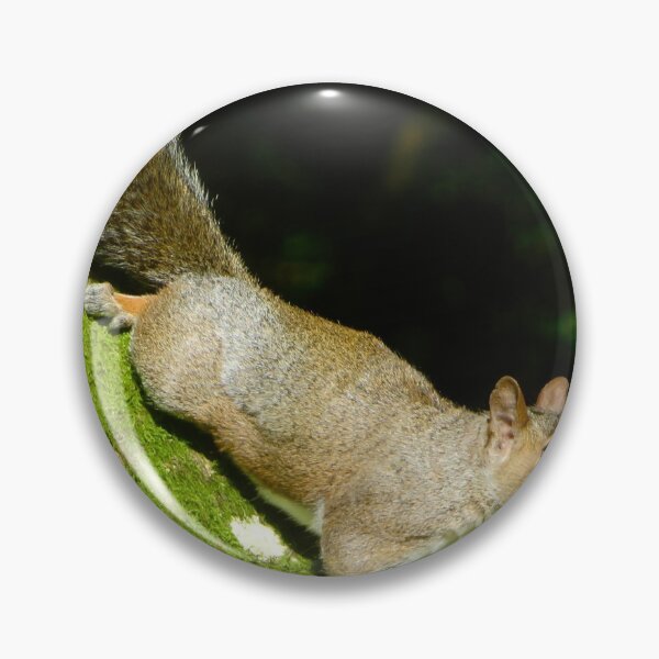 Item preview, Squirrels  designed and sold by Ribster13.
