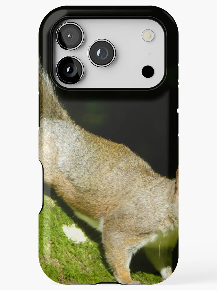 Thumbnail 1 of 4, iPhone Case, Squirrels designed and sold by Ribster13.