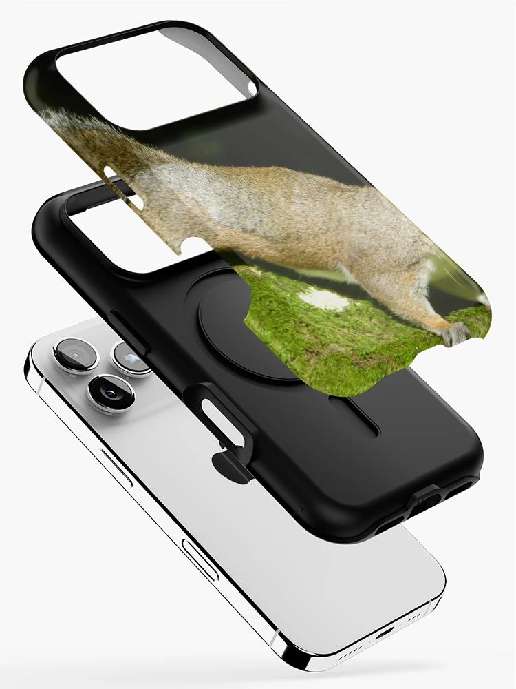 Thumbnail 2 of 4, iPhone Case, Squirrels designed and sold by Ribster13.