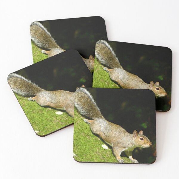 Item preview, Squirrels  designed and sold by Ribster13.