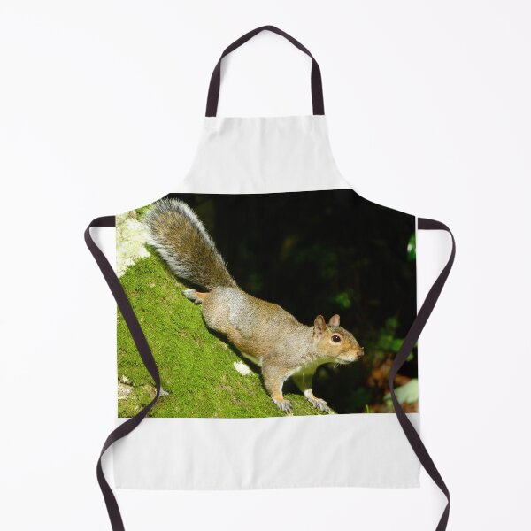 Item preview, Squirrels designed and sold by Ribster13.