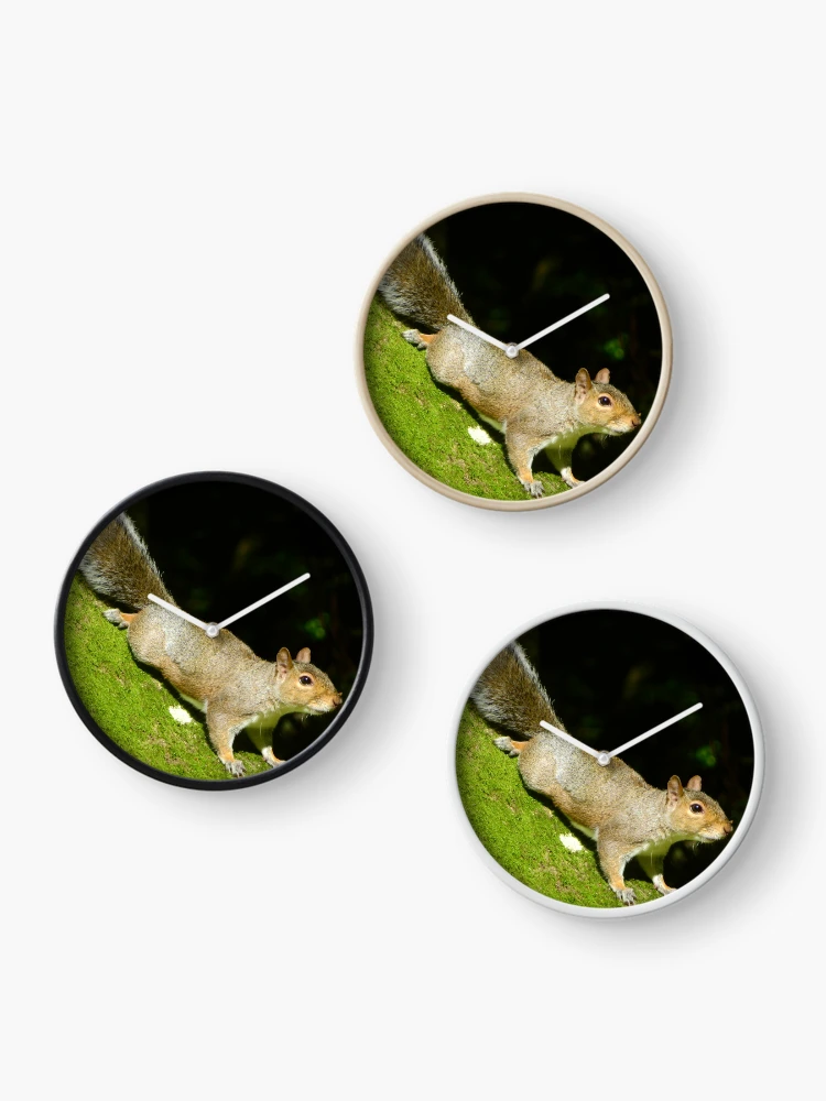 Thumbnail 3 of 4, Clock, Squirrels designed and sold by Ribster13.