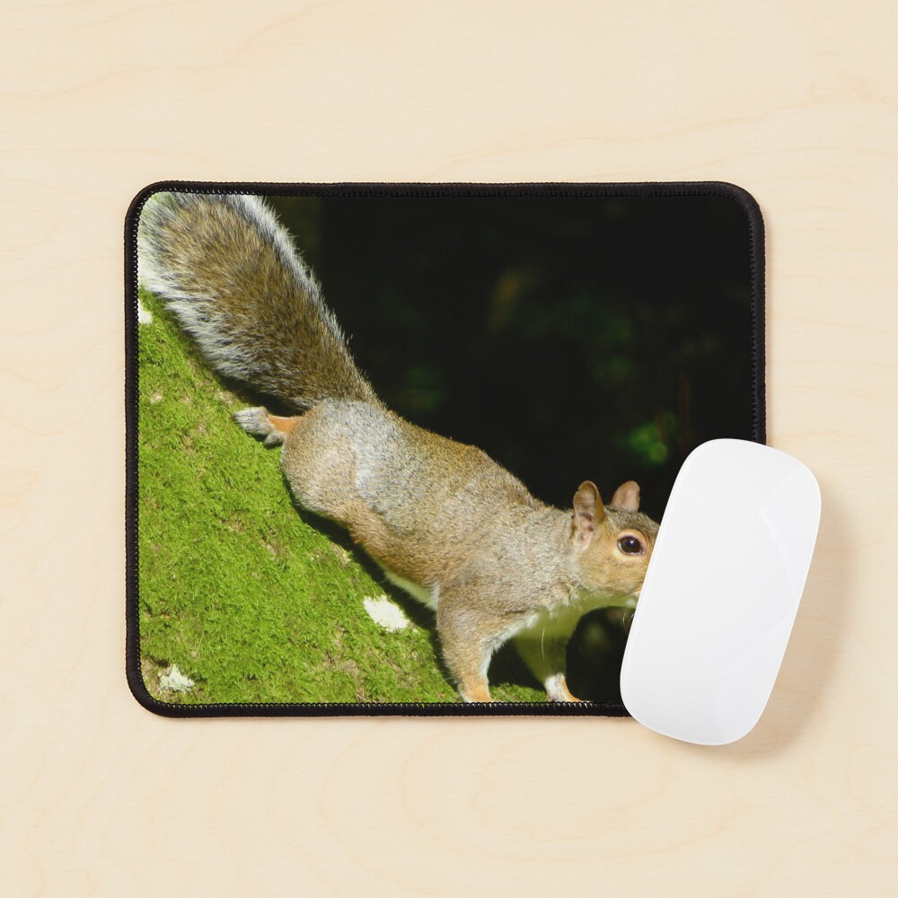 Item preview, Mouse Pad designed and sold by Ribster13.