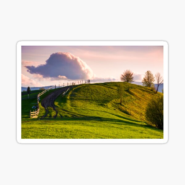 country road through grassy hill at sunset Sticker