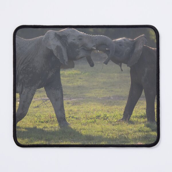 Item preview, African Elephants Playing designed and sold by WildByGhislaine.